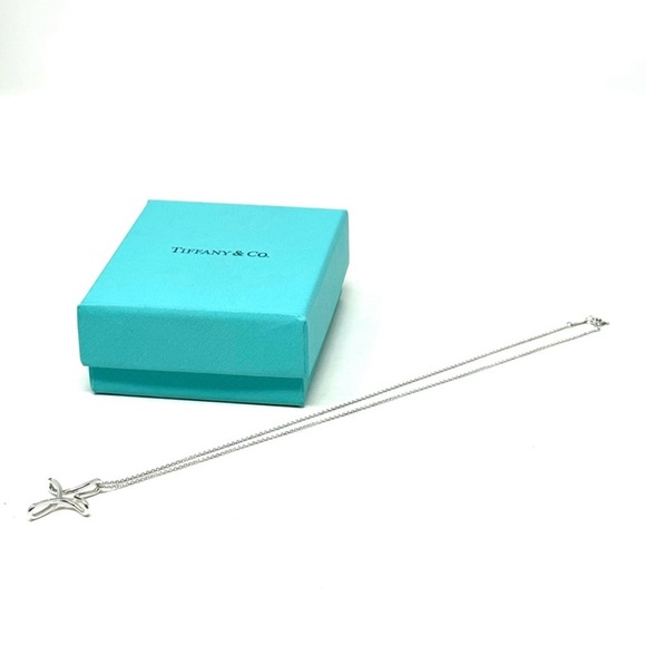 Authentic Tiffany & Co. Elsa Peretti Silver Infinity Necklace - Picture 10 of 15